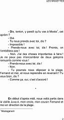 Les mouettes2 (1)